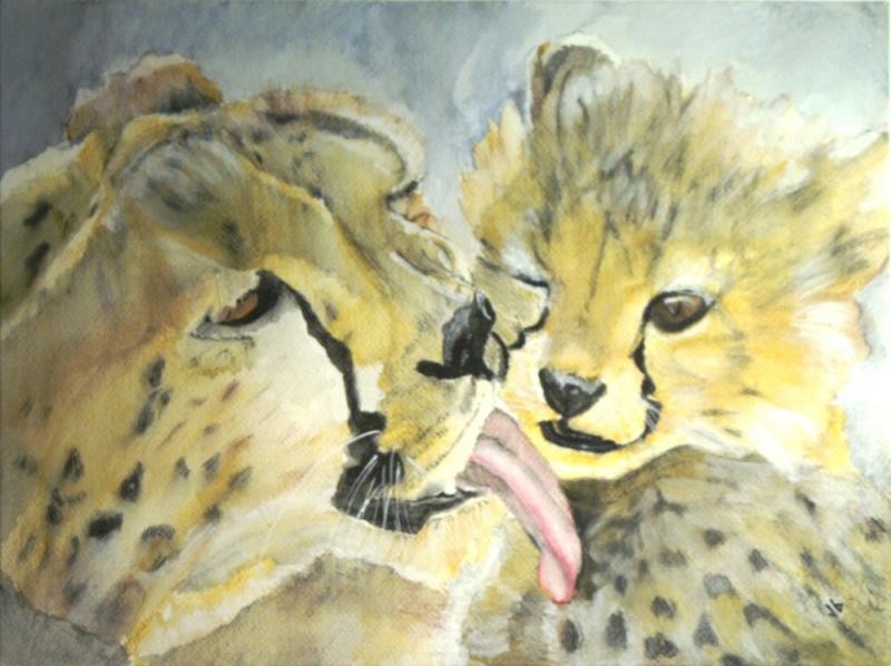 Water color painting of a mother cheetah washing the face of her kit.
