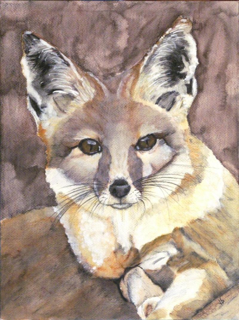 Water color painting of a fox reclining on its side and looking at the viewer.