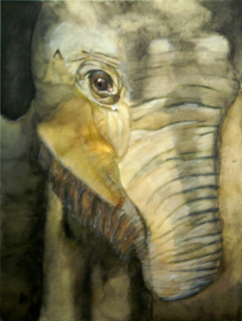Water color painting close on the face of a baby elephant.