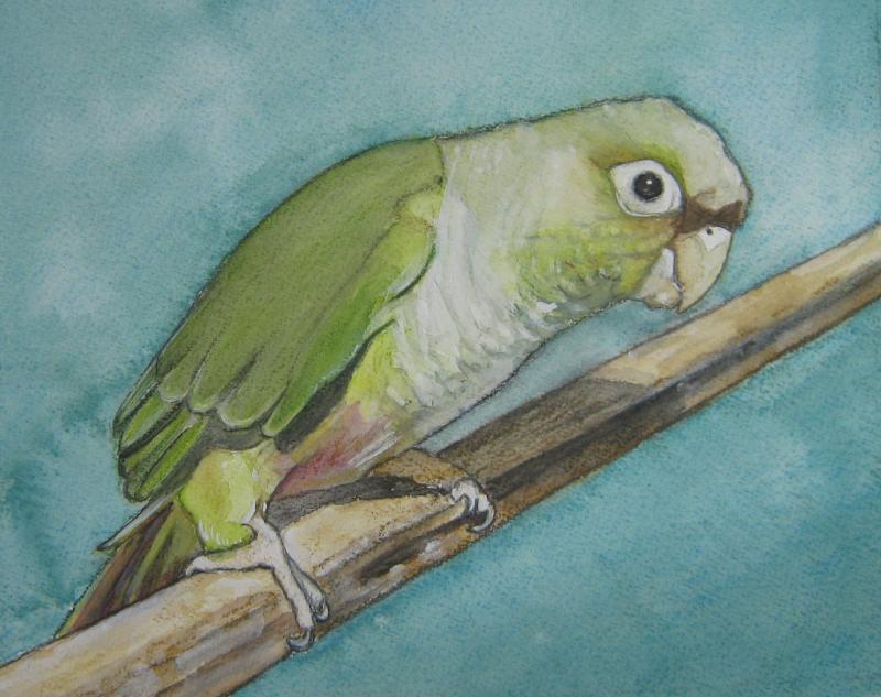 Water color painting of a green parakeet perched on a wooden bar.