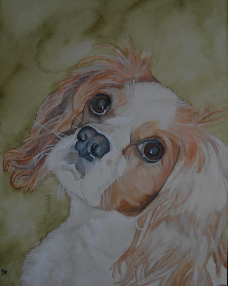 Water color painting of a small, tan and white dog with big fluffly ears.