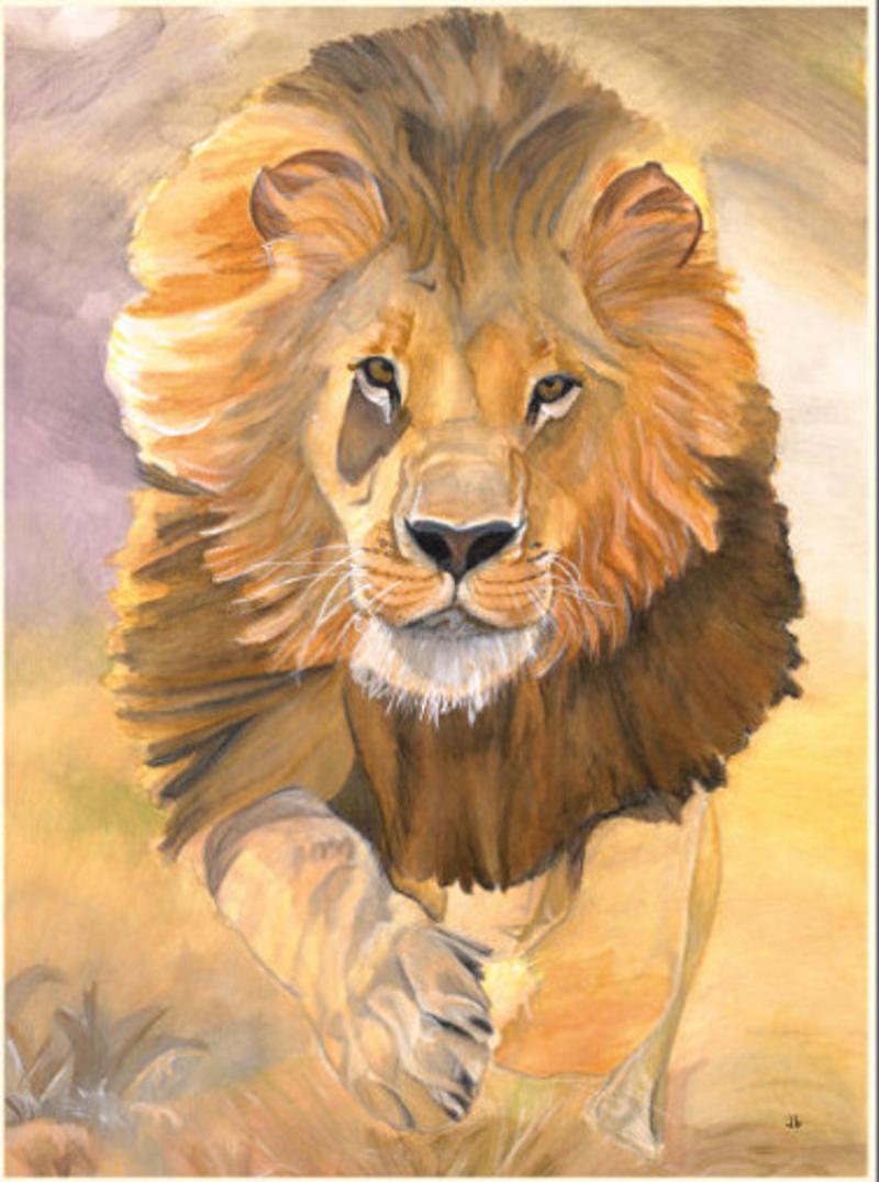 Water color painting. A magestic male lion walks toward the viewer.