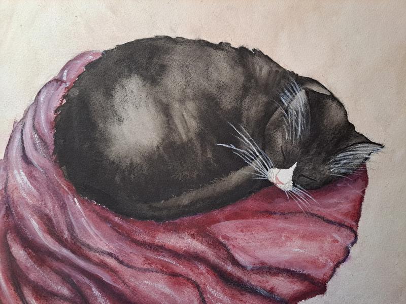 A cat name O'Malley