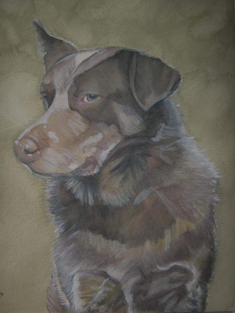 A dog named Rocky