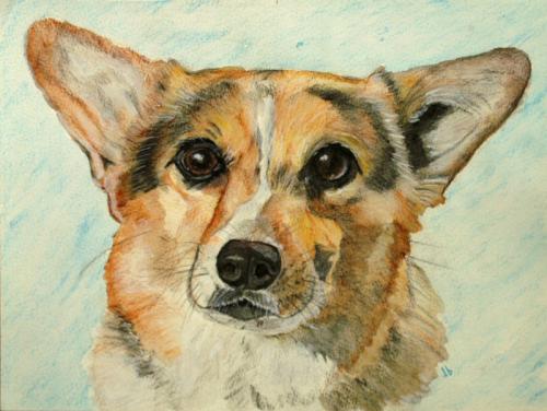 Watercolor portrait of a beutiful dog of white, tan and black.