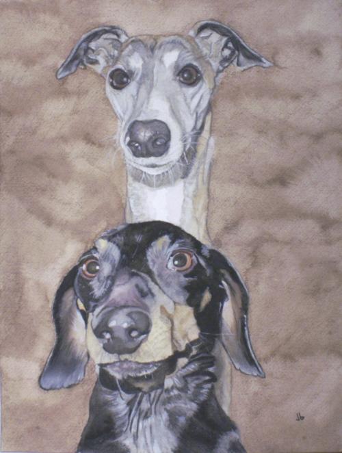 Watercolor portrait of two dogs. One is a silvery grayhound and the other is a black dachsund with tan muzzle.