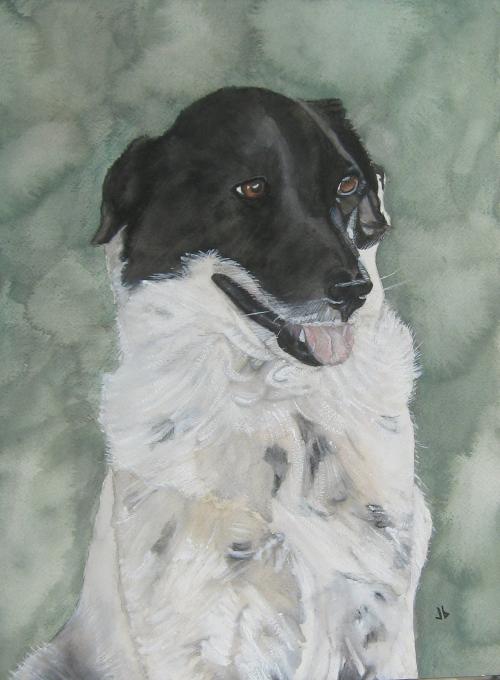Watercolor painting of a happy dog who has a white body with gray spots and a black head.
