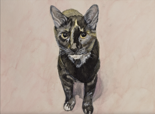 A cat named Monáe. Also known as Bad Larry