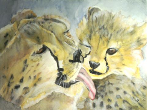 Water color painting of a mother cheetah washing the face of her kit.