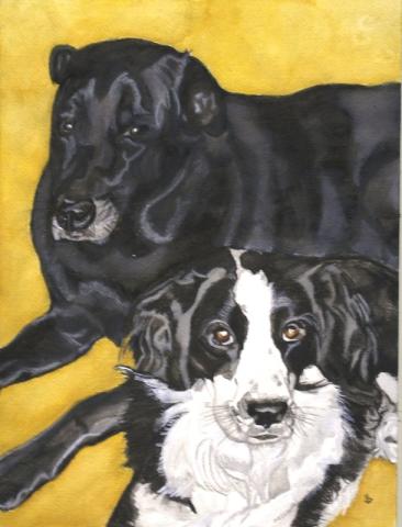 Watercolor portrait of two dogs. One is all black and the other is black and white.