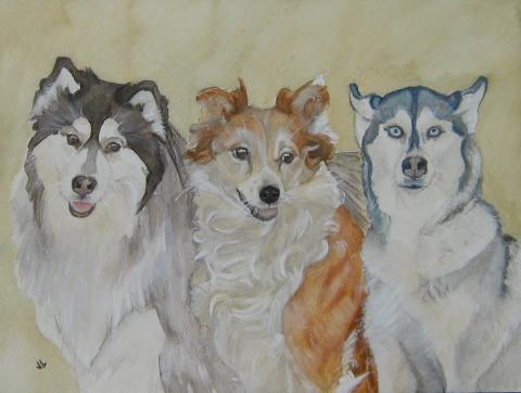 Water color painting of three dogs sitting in a row.