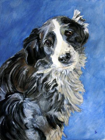 Water color painting of  scruffy black and white dog.